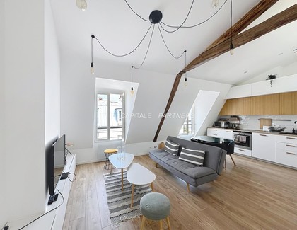 Appartement 1 chambre meublé PARIS 15