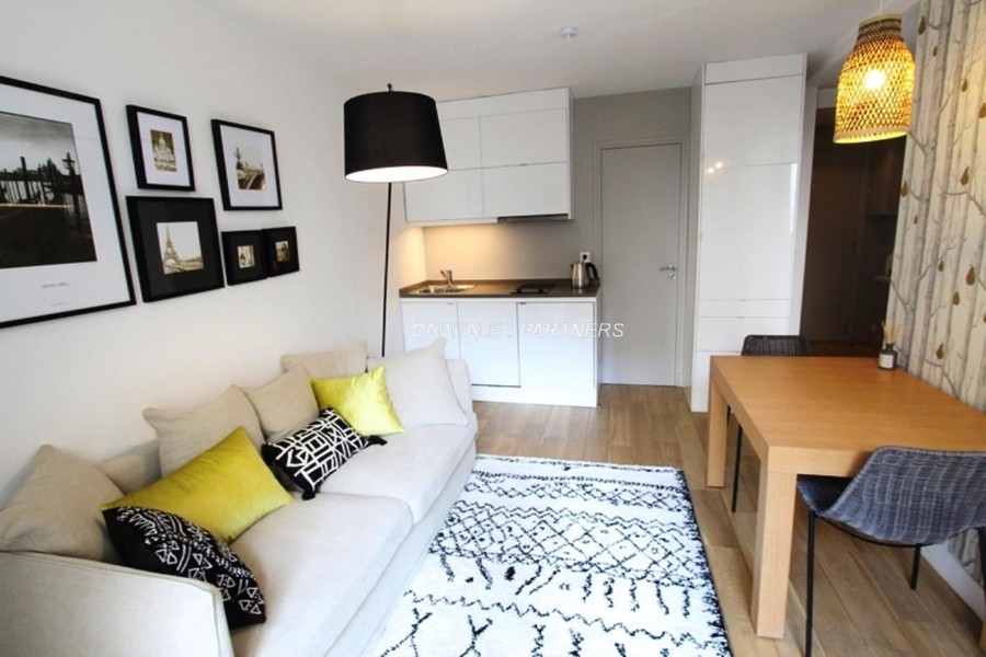 Appartement 1 chambre meublé PARIS 15 - 31 m²;