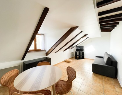 Appartement 1 chambre meublé PARIS 3