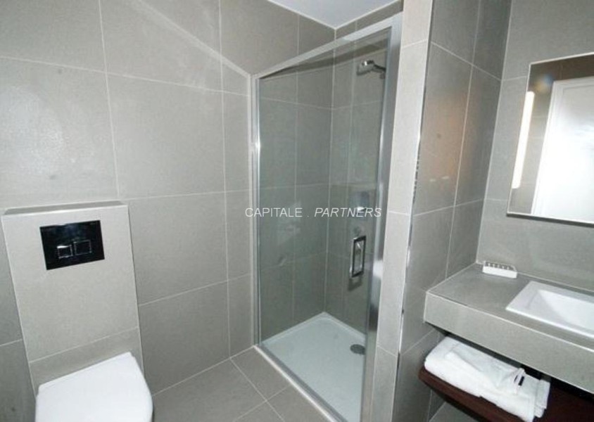 Studio meublé  PARIS 15 - 24 m²;